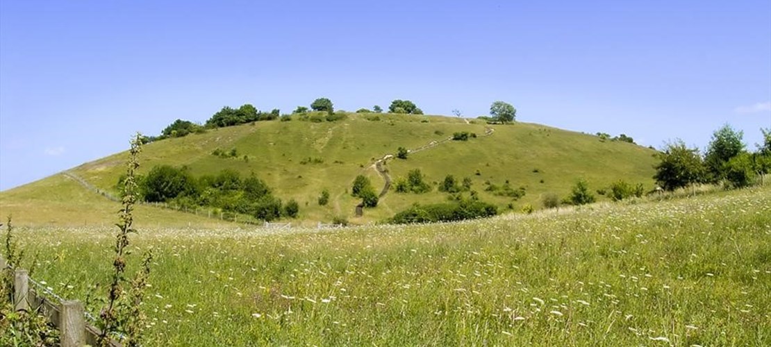 Walk and Talk at St Catherine’s Hill - March