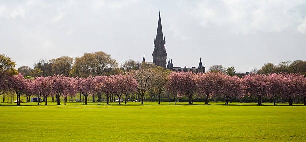 Spring Netwalking Series - Edinburgh Meadows