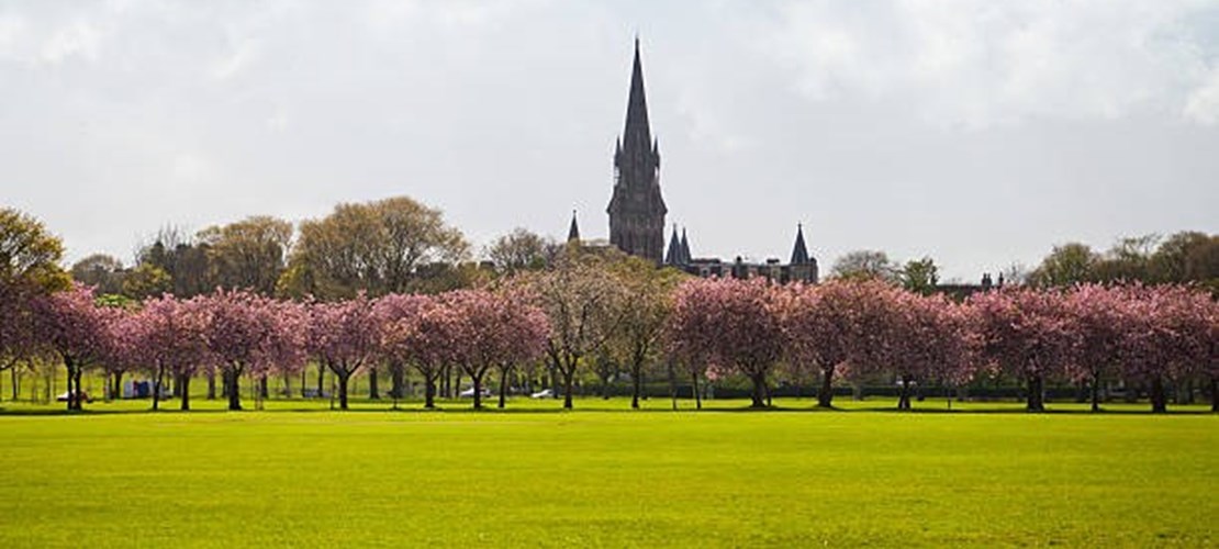 Central Scotland Netwalking Series - Edinburgh Meadows