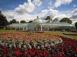 Spring Netwalking Series - Glasgow Botanic Gardens