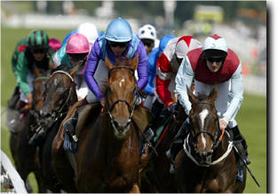 Property Race Day at Ascot 2022 - racing only - CANCELLED