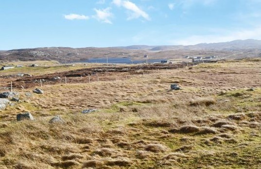 Development on croft land: what you need to know