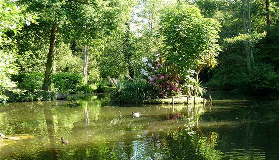 Walk and Talk at Holly Hill Woodland Park, Southampton