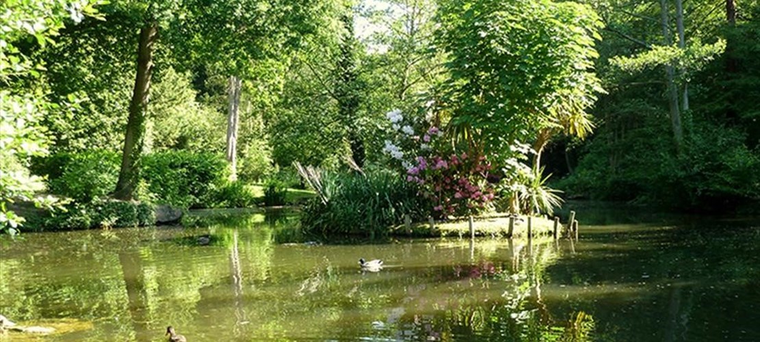 Walk and Talk at Holly Hill Woodland Park, Southampton