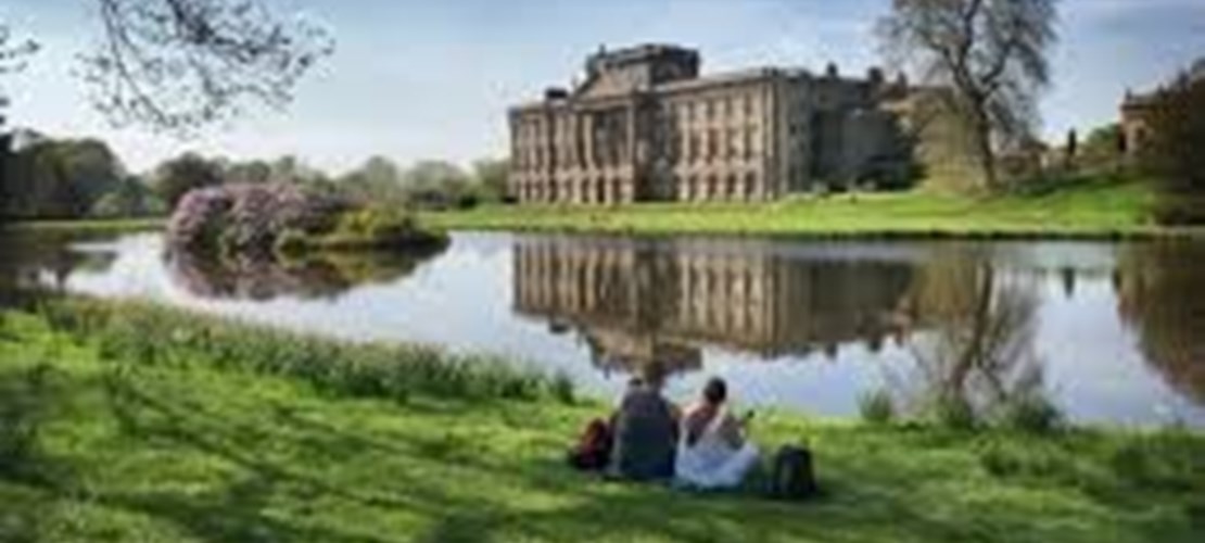 Working Parents Family Picnic in the Park