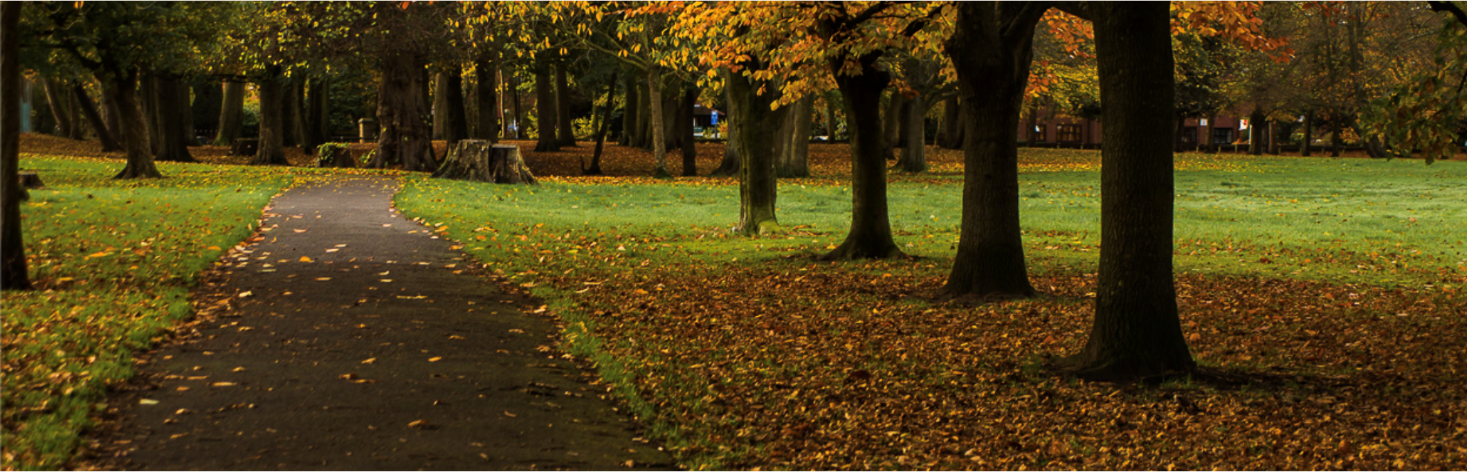 Working Parents Family Picnic in the Park