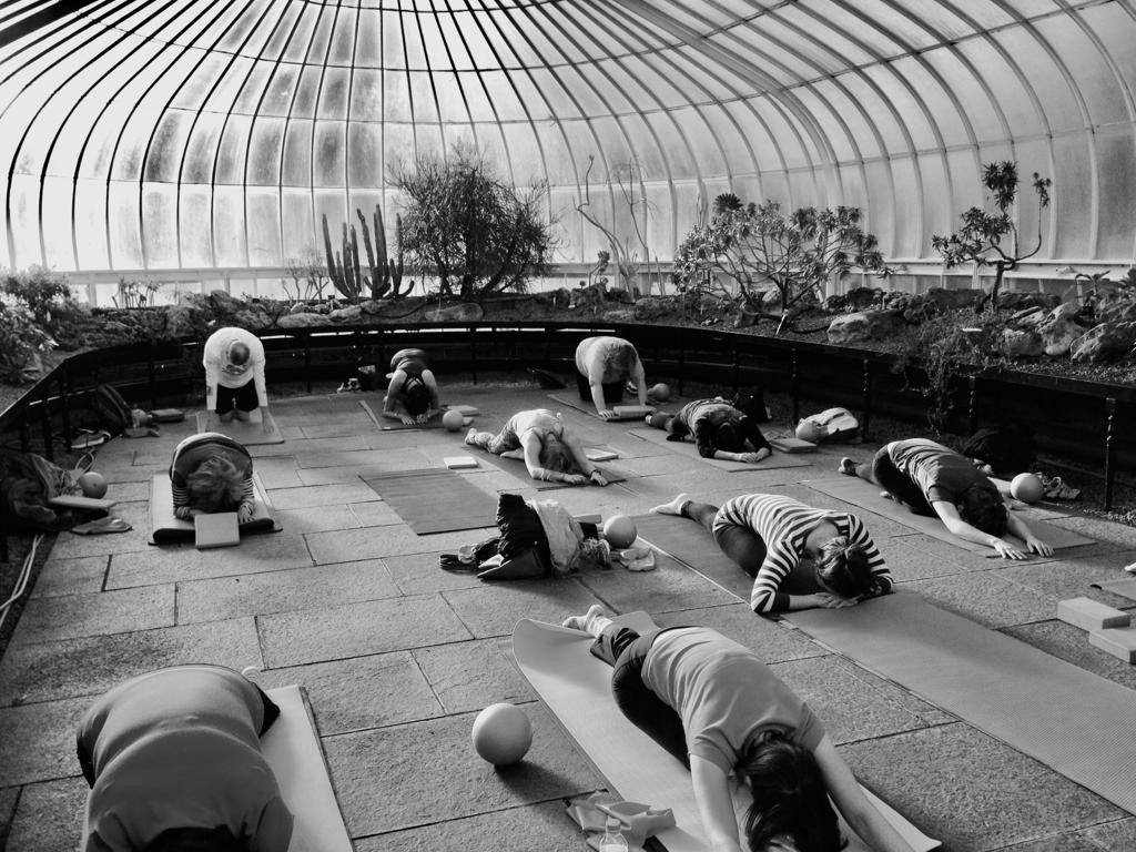 Wellbeing Thursday – Pilates in the Botanics and via Zoom