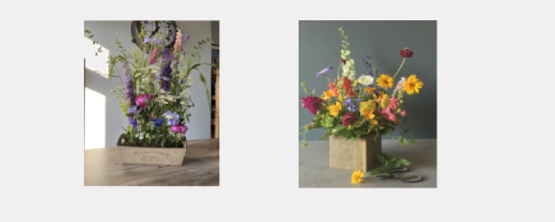 Meadow Flower Box Workshop