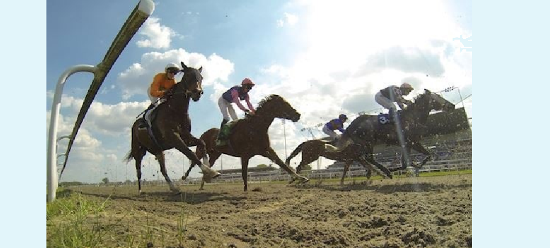 Virtual Race Day at Manchester Hall- Individual Tickets - CANCELLED