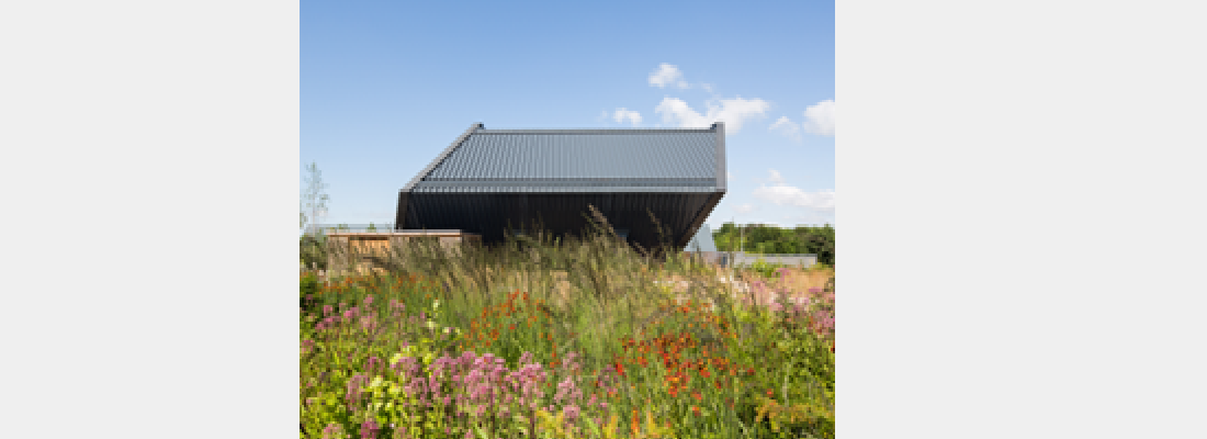 Biodiversity Net Gain: are you ready?