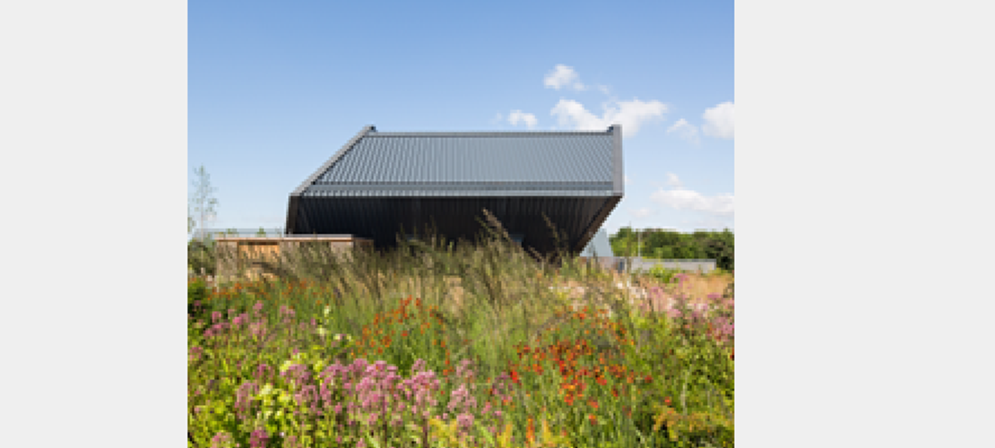 Biodiversity Net Gain: are you ready?