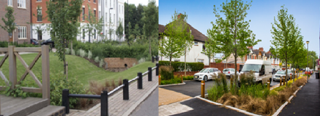 Breakfast Seminar: The SuDS Experience