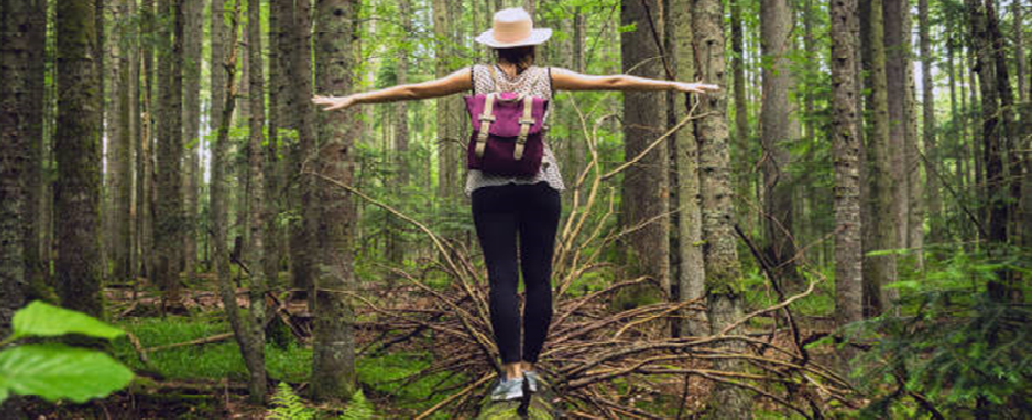SHINRIN YOKU - Forest Bathing at Epping Forest