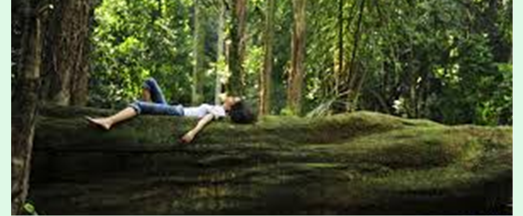 SHINRIN YOKU - Forest Bathing at Richmond Park