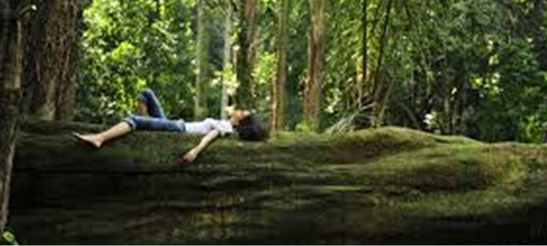 SHINRIN YOKU - Forest Bathing at Richmond Park