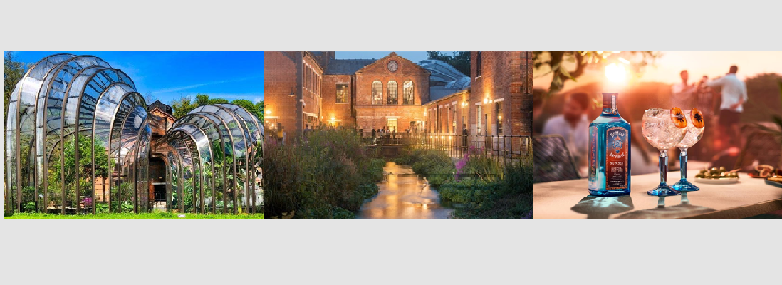 Bombay Sapphire Gin Distillery Tour and Networking Summer Party
