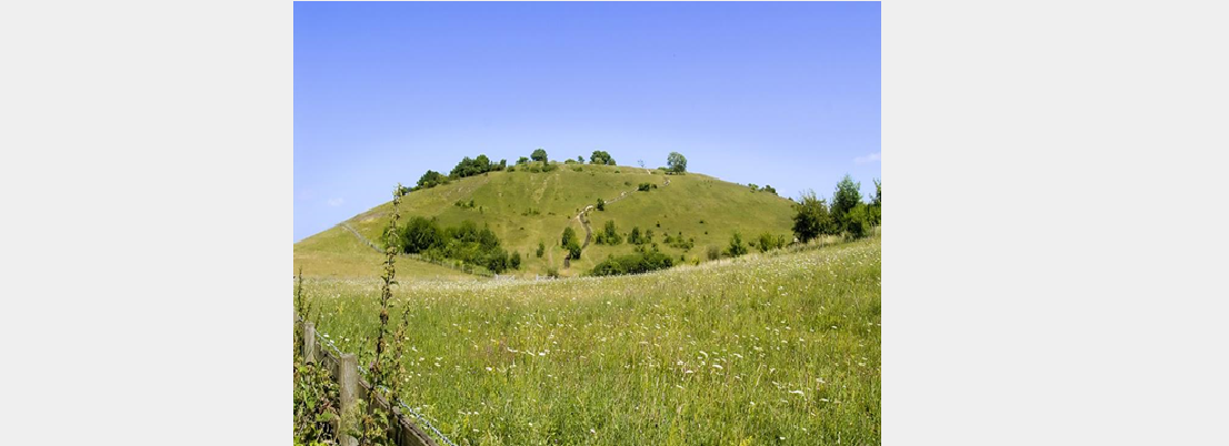 Walk and Talk at St Catherine’s Hill