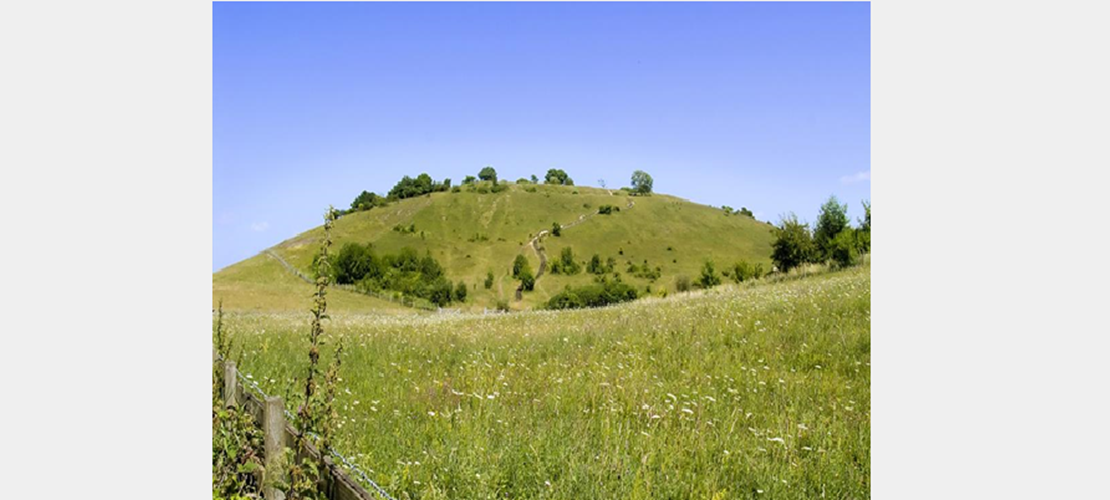 Walk and Talk at St Catherine’s Hill