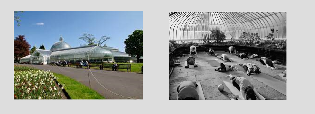 Wellbeing Wednesday: Pilates in Glasgow Botanics - attend in person