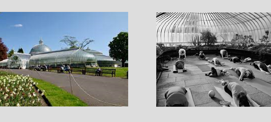 Wellbeing Wednesday: Pilates in Glasgow Botanics - attend in person