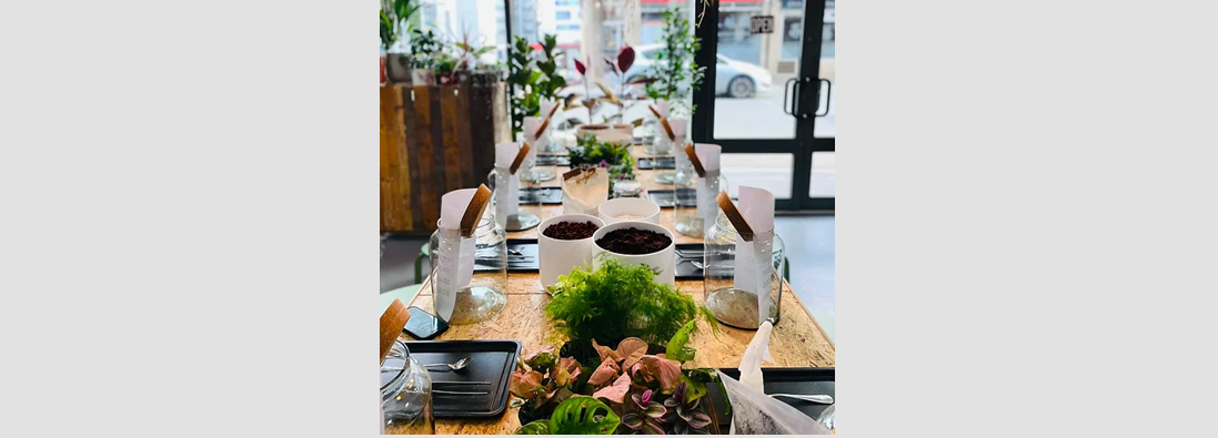 Terrarium Workshop - Plymouth