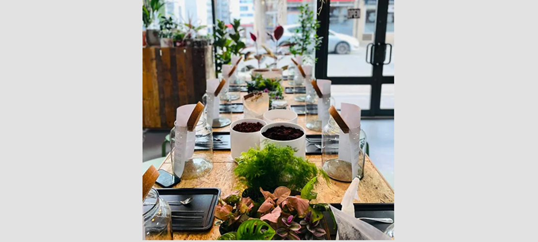 Terrarium Workshop - Plymouth