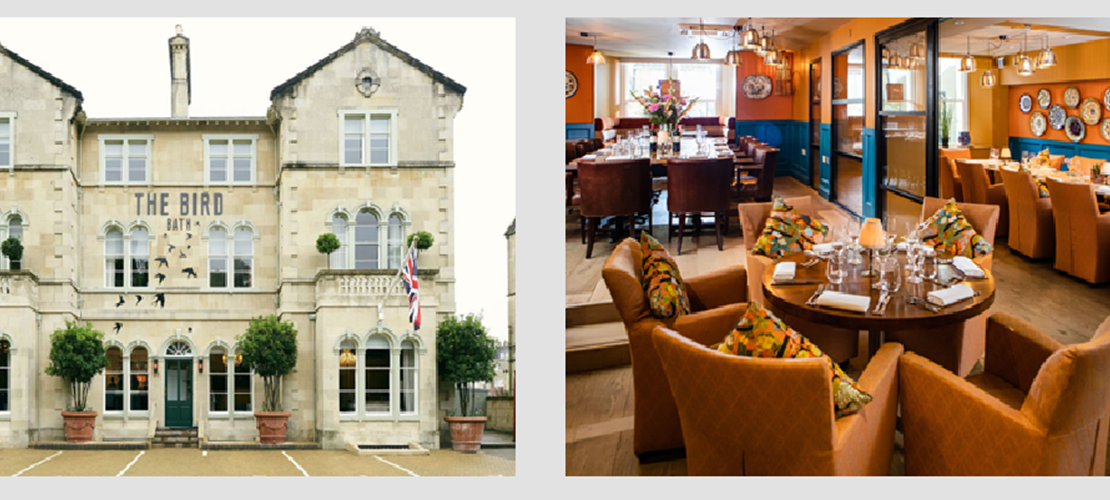 Festive Afternoon Tea at The Bird