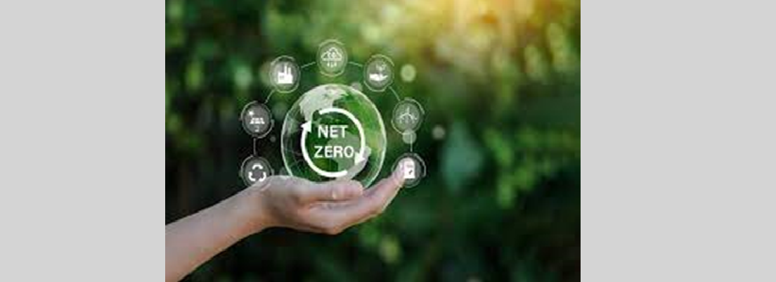 CPD Accredited Webinar: Empowering Organisations in their Net Zero Journey with Turley