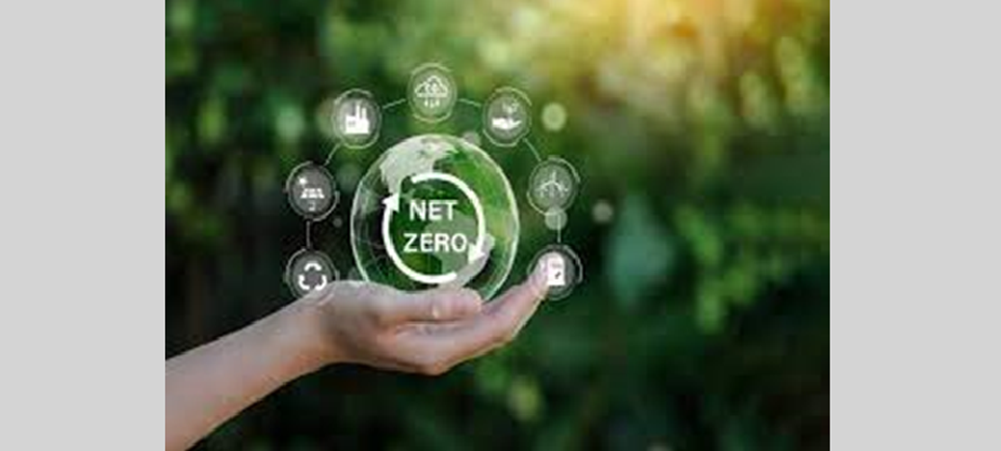 CPD Accredited Webinar: Empowering Organisations in their Net Zero Journey with Turley