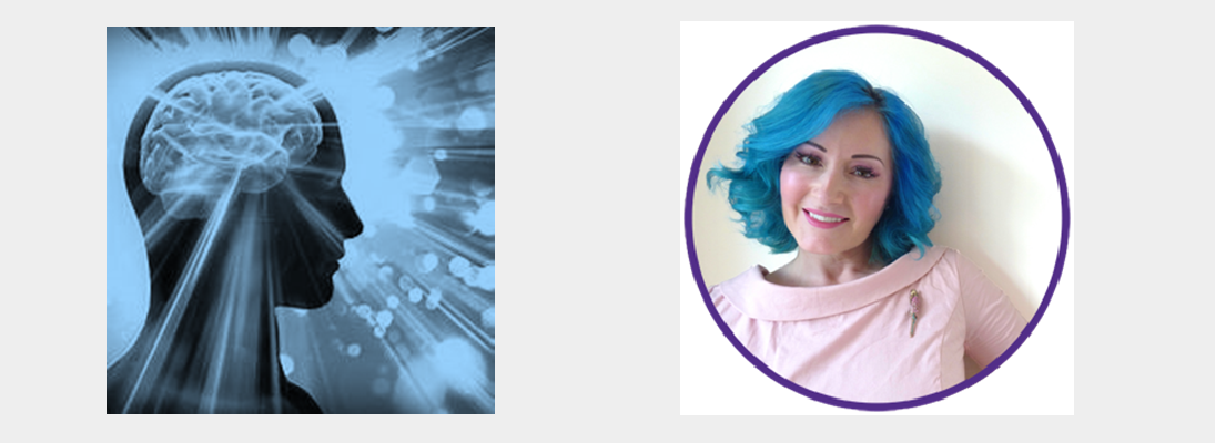 ‘A User’s Guide to The Brain’ 