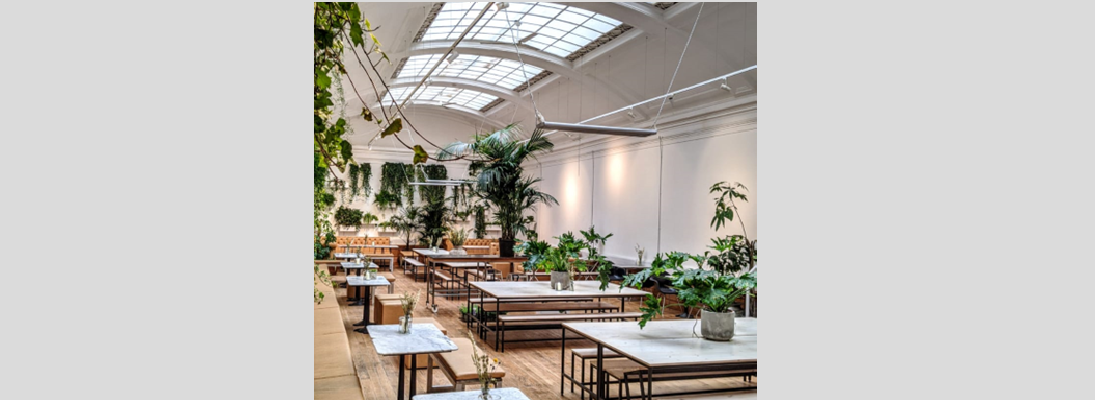 December Coffee and Co-Working – Medicine Bakery, New Street