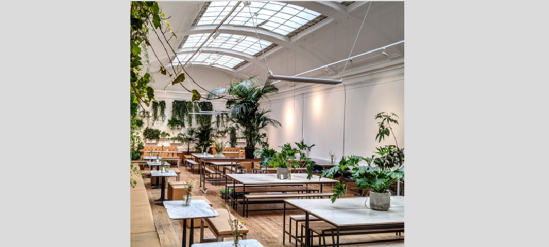 Coffee and Co-Working at Medicine Bakery