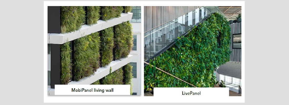 Building a Greener and Healthier Living Environment – Networking Breakfast