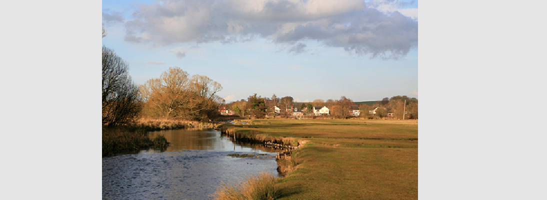 Walk and Talk at Stockbridge Marsh