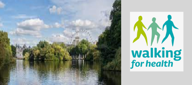 Netwalk: Waterloo & St James’s Park