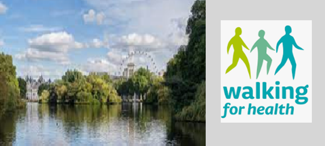 Netwalk: Waterloo & St James’s Park