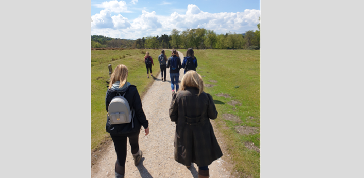 Step into Spring Netwalk - Sheffield