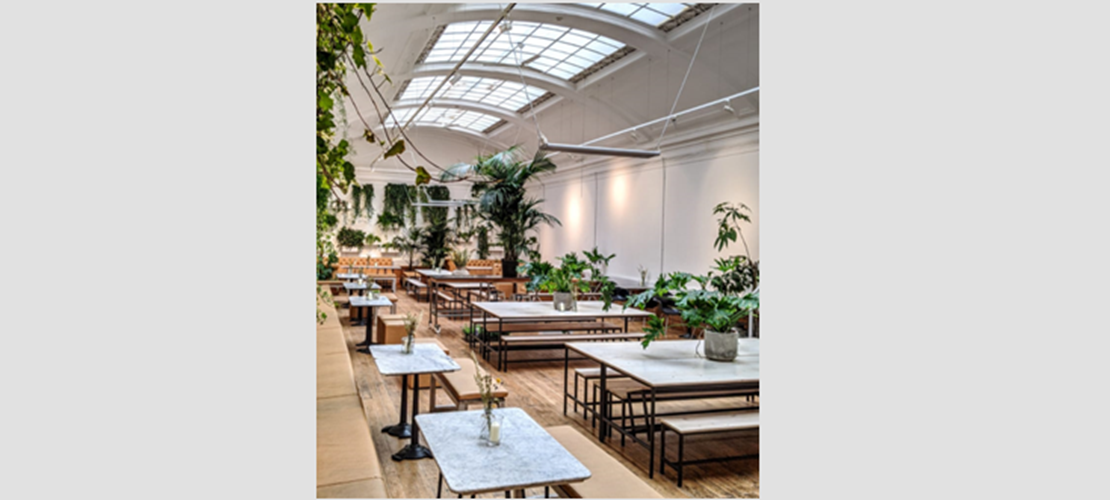 Coffee and Co-Working at Medicine Bakery