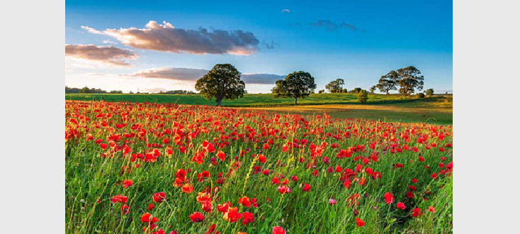 North West Members Exclusive – Summer Breakfast Event