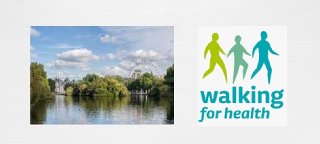 London Netwalking in St James’s Park