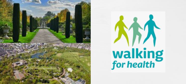 London October Netwalk