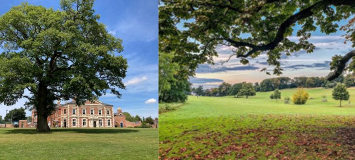 Netwalking and Coffee: Lightwoods House to Warley Woods & back 