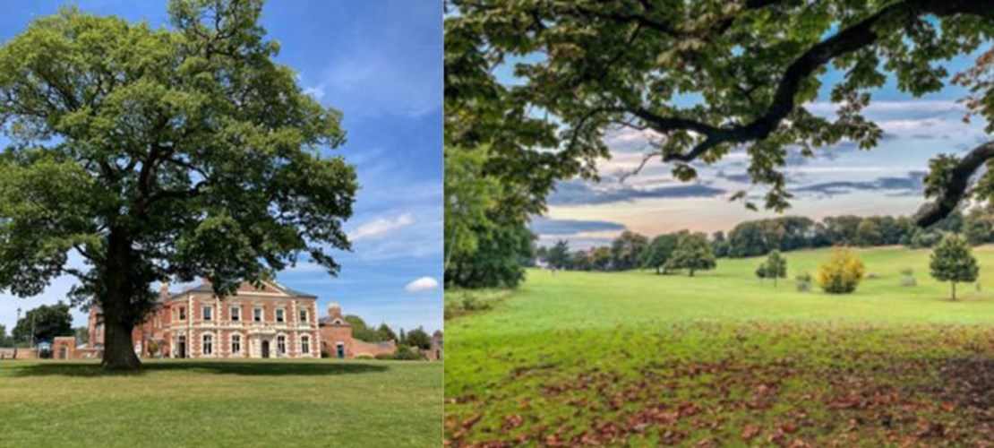 Netwalking and Coffee: Lightwoods House to Warley Woods & back