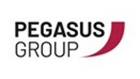 Pegasus Group Logo