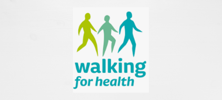 Netwalk Westminster & South Bank 