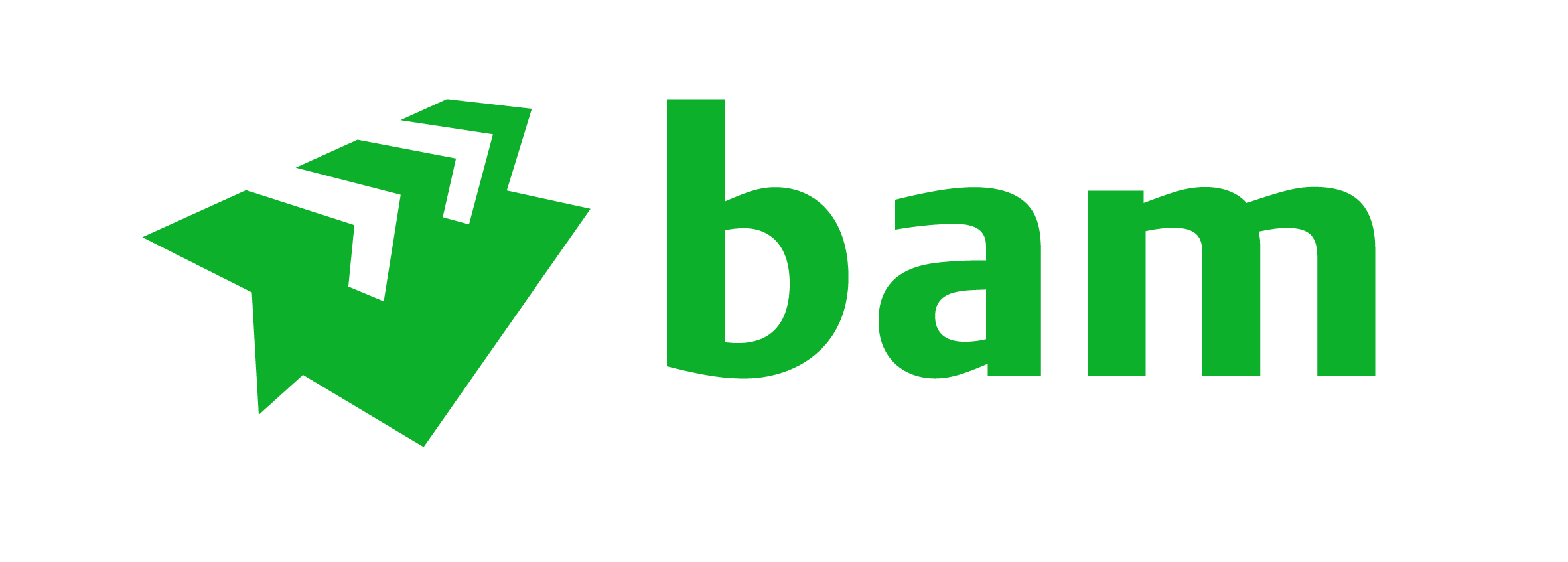 BAM Logo