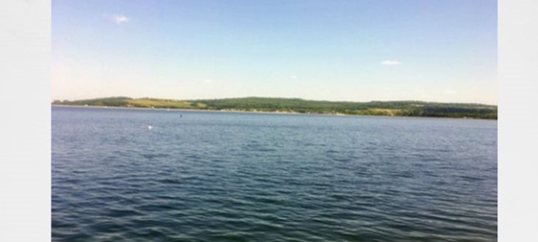 Thames Valley NetWalk: Farmoor Reservoir