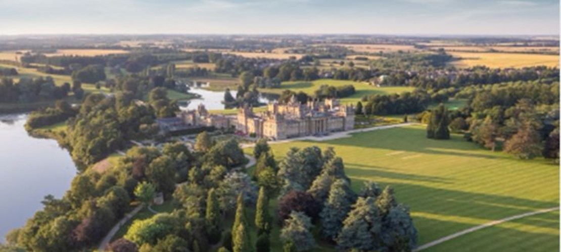 Thames Valley Summer Networking Walk