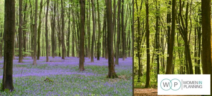 Walk and Talk at Micheldever Woods with Women in Planning
