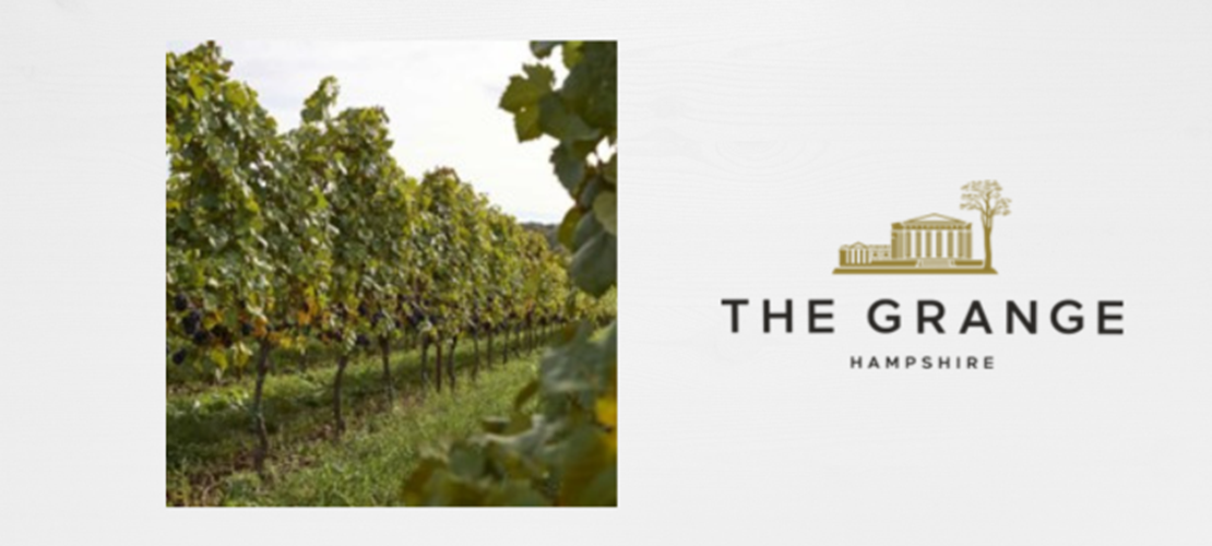 Summer Party - Tour and Tasting at The Grange Vineyard